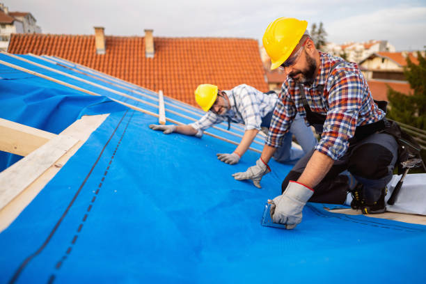 Best Roof Gutter Cleaning  in Winnsboro, LA